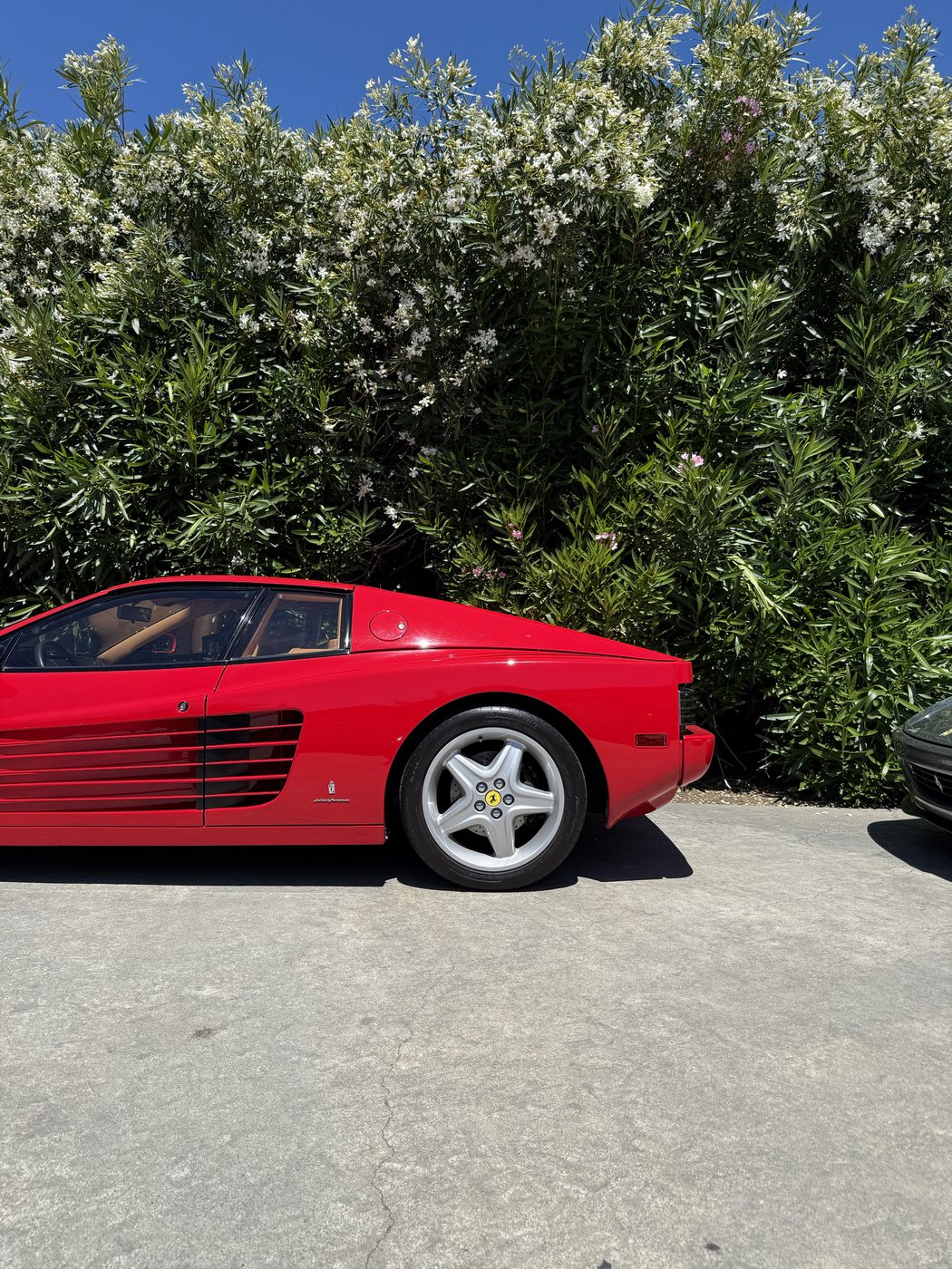 A red Ferrari Testarossa on a client driveway after a wash